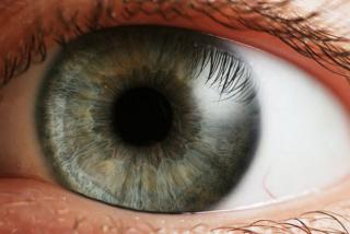 A human eye is an optical system! From http://en.wikipedia.org/wiki/Eye#/media/File:Eye_iris.jpg, Peter Nóvak, Wikipedia.