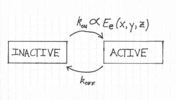The state model for the proteins. The rate constant to switch from the inactive to the active state k_{ON} is proportional to the irradiance E_e integrated across the protein’s absorption cross section. The rate constant to switch from the active to the inactive state is k_{OFF}.